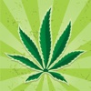Marijuana ✱ Free