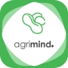 AgriPlant - Amendoim