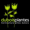Dubois Plantes