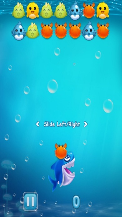 BUBBLE SHARK CRAZY GAME - 经典儿童游戏 1.4 IOS GAME GIẢI TRÍ BUBBLE SHARK CRAZY GAME - 经典儿童游戏 1.4 IOS