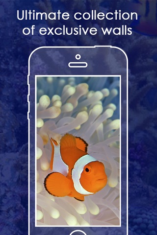 Live Aquarium HD Wallpapers | Backgrounds screenshot 2