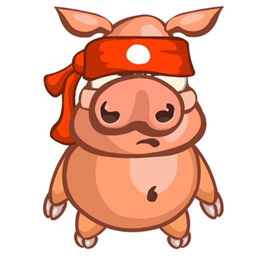 Pig practice ninjutsu