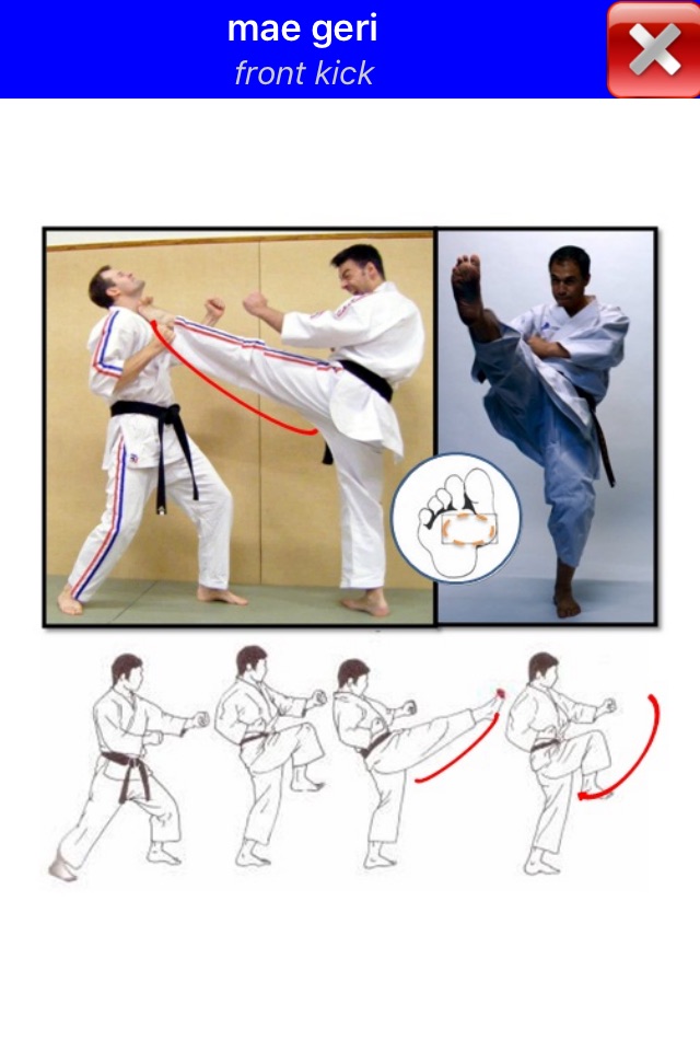 Karate WKF screenshot 2