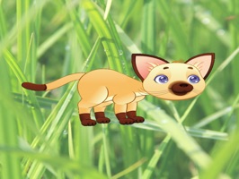 Add a cute little cat to your messages