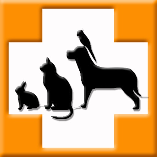 Pet's Veterinary Records