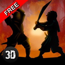 Activities of Shadow Kung Fu Fighting 3D