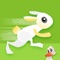 Crazy Rabbit Jump. The Hero Jumpy Bunny Super Running Adventure