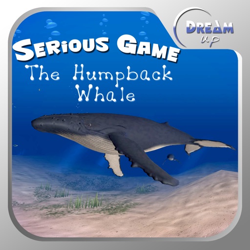 Humpback Whale Icon