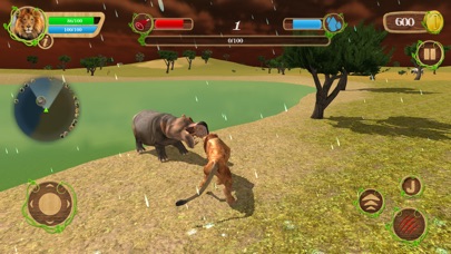 Wild Lion Family Simulator screenshot 3
