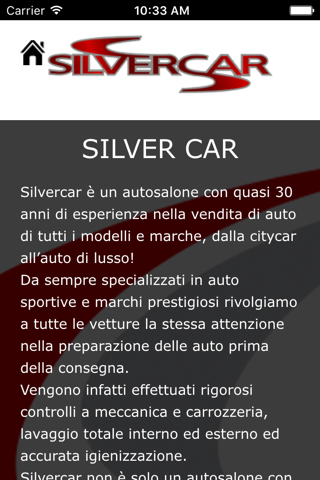 SILVER CAR screenshot 3