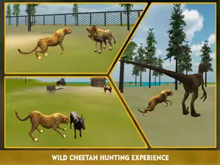 Screenshot 2 Fauna simulador ataque guepardo 3D - perseguir los animales salvajes, cazan en esta aventura de safari iphone