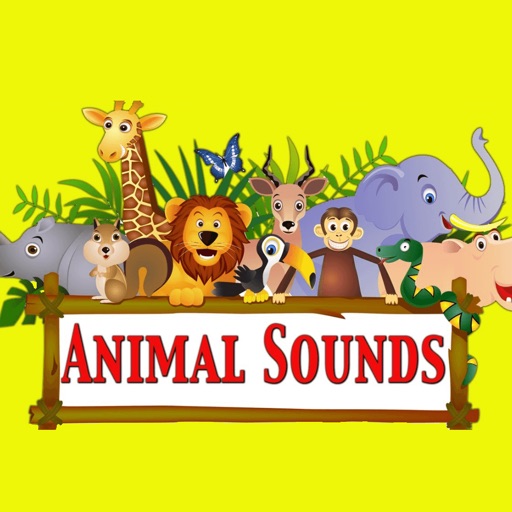 Animal Sounds for toddler and young kids Premium | learn and entertain with fun animal sounds icon