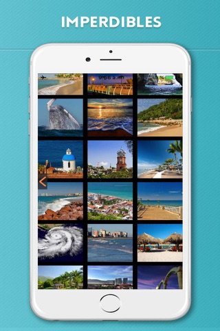 Puerto Vallarta Travel Guide screenshot 4