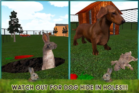 Pet Rabbit 3D Simulator screenshot 2