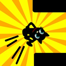 Activities of Crazy Jump Cat!