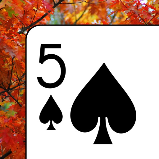 Thirteen Solitaire icon