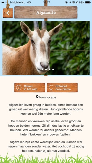 DierenPark Amersfoort(圖5)-速報App