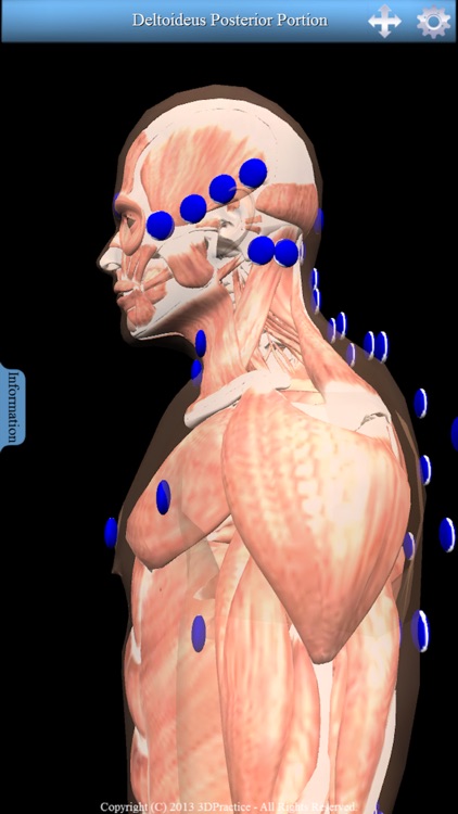 3D Trigger Points