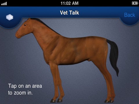 Horse 360 HD Bundle screenshot 3