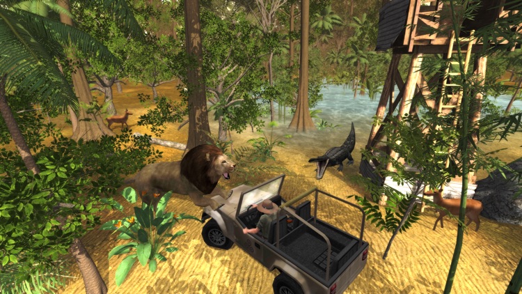 Safari: I-Evolution