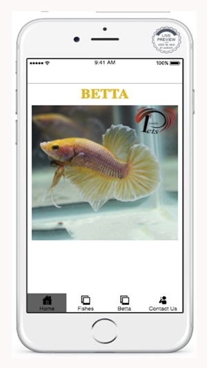 Fish Betta