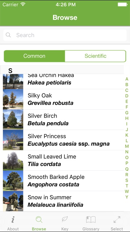 Tree ID Australia screenshot-4