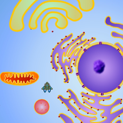 Cell Explorer: Animal Cell