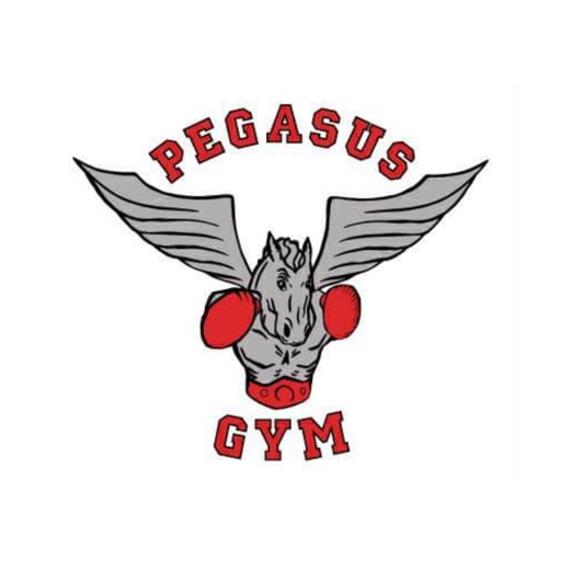 Pegasus gym icon