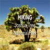 Hiking Joshua Tree N. P.