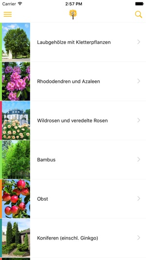 Die Lappen - APP