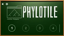 Game screenshot Phylotile mod apk