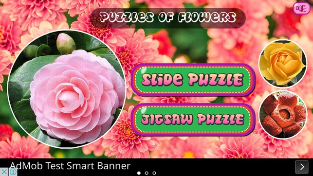 Puzzles of Flowers Free