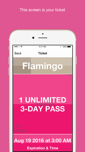 Flamingo Fares Tampa Bay(圖4)-速報App