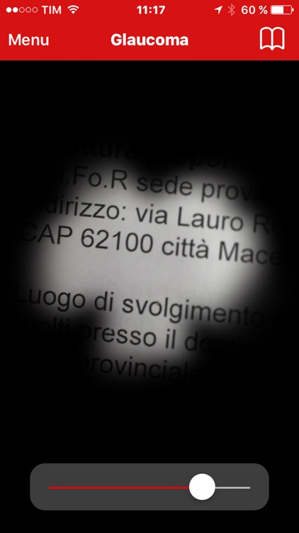 iSee, the vision simulator