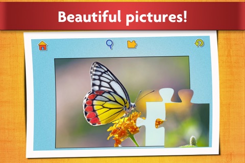 Insect puzzles - Relaxing photo picture jigsaw puzzles for kids and adults screenshot 4