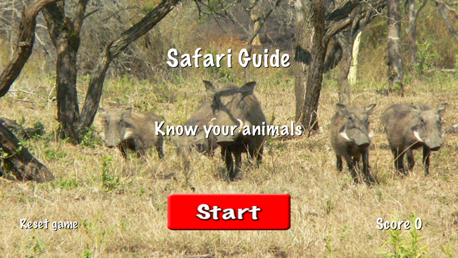 Safari Guide