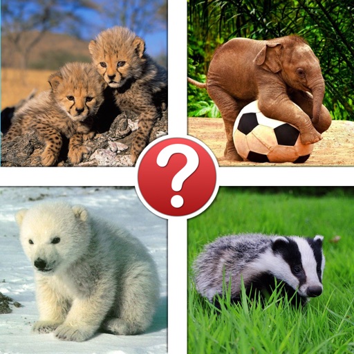 Aww Baby Animals Trivia - Guess the Lovable Animals Picture Quiz iOS App