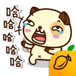 熊貓狗 中文/繁体 - Mango Sticker