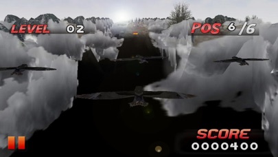 Bird Race 3D screenshot 4