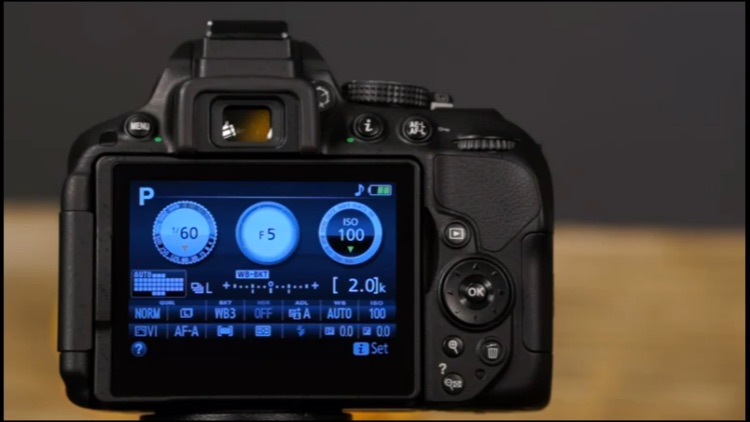 Nikon D5300 Beyond the Basics from QuickPro screenshot-3