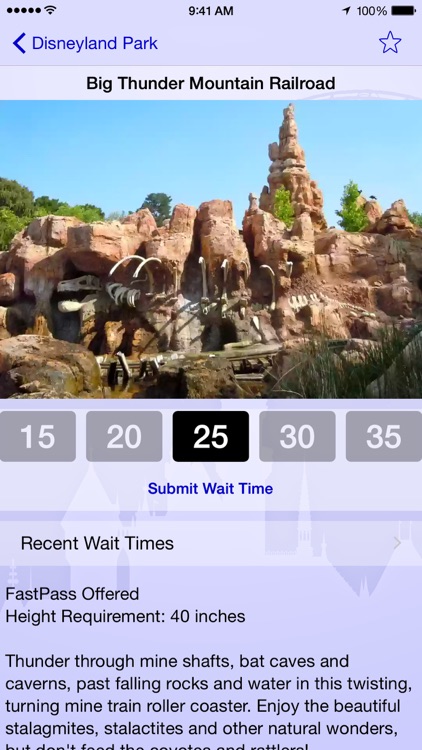 Wait Times for Disneyland