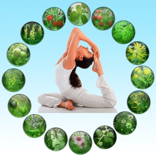 Dictionary of Alternative Medicine