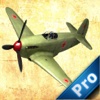 Airplane Crash Pro