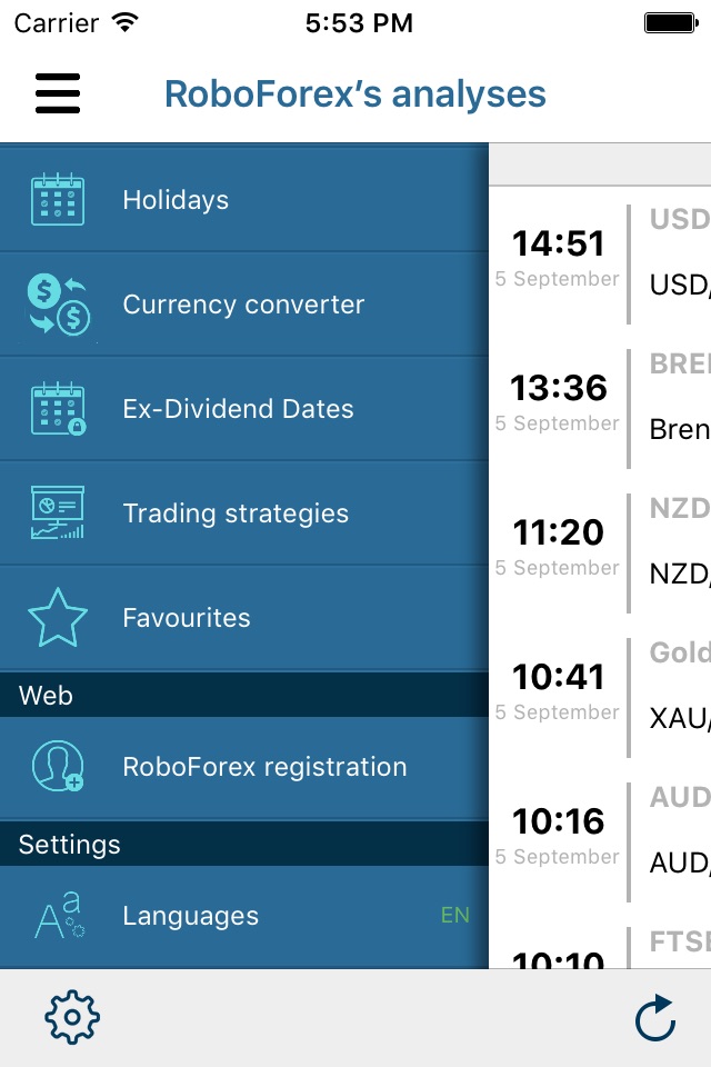 RoboForex Analytics screenshot 2