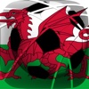 Penalty Soccer Football: Wales - For Euro 2016 SE