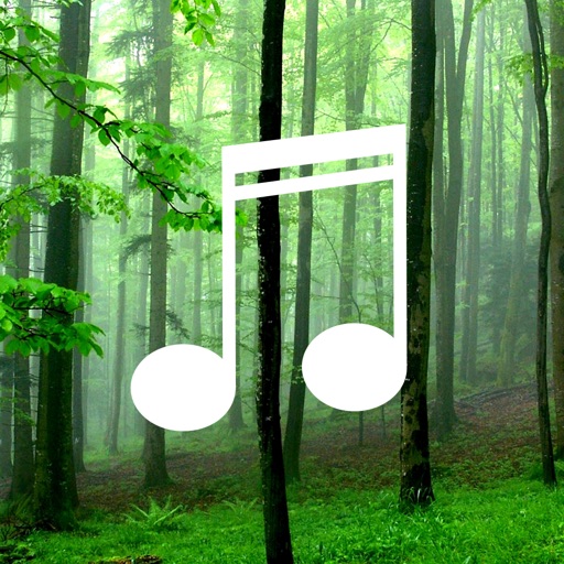 Forest Sounds For Relaxing-Free soothing nature sounds & jungle ambience with mountain spa music to reduce stress icon