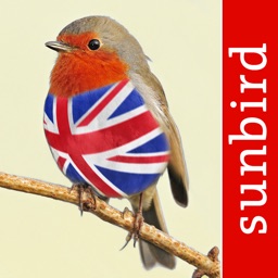 Birds of Great Britain - a Sunbird field guide