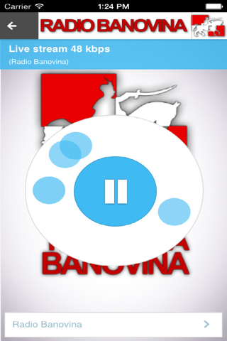 Radio Banovina screenshot 2