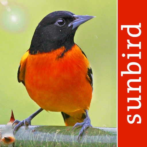 Bird Id USA backyard birds Icon