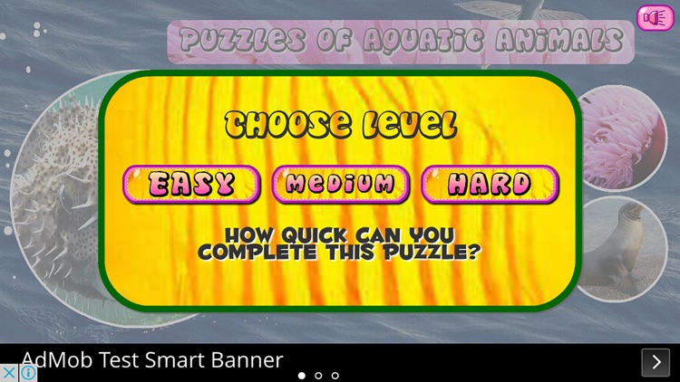 Puzzles of Aquatic Animals Free